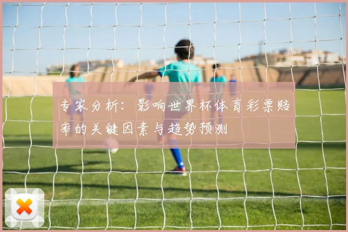 专家分析：影响世界杯体育彩票赔率的关键因素与趋势预测